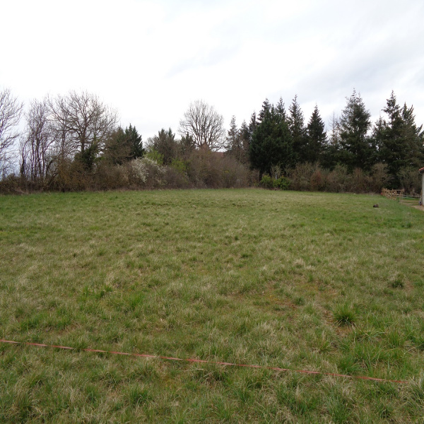 Offres de vente Terrain Villeneuve 12260