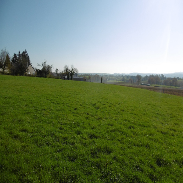 Offres de vente Terrain Lanuéjouls 12350